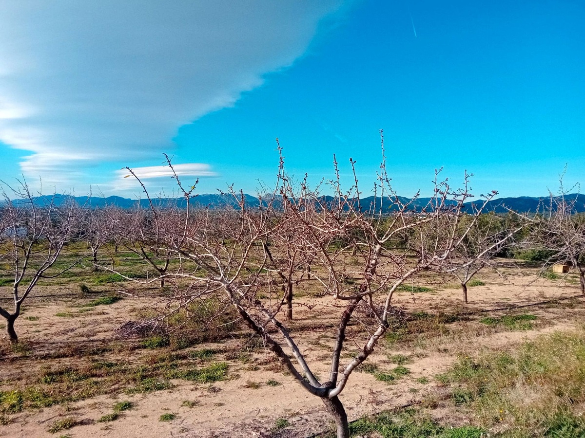 095844e0-1209-48c8-850d-f491dd9b34c6