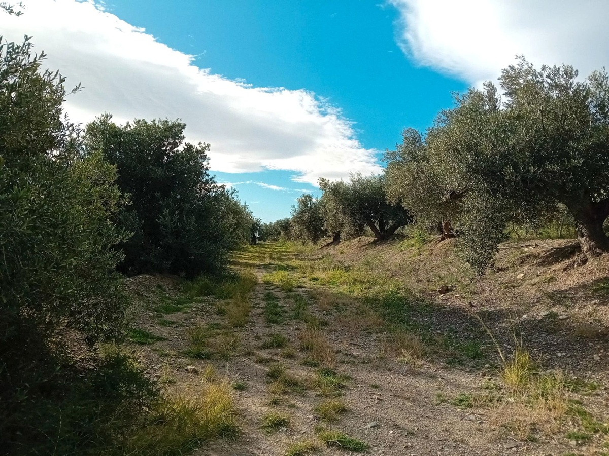 188c5005-bdb7-4f84-98e6-286cf919a22a