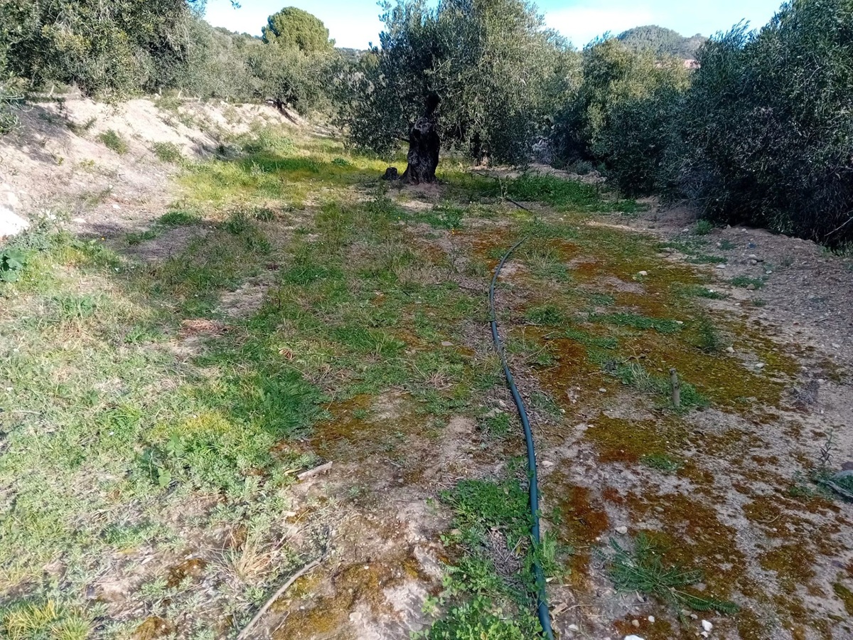 47ab03a0-23a0-4512-9b85-a8f95ec7d257