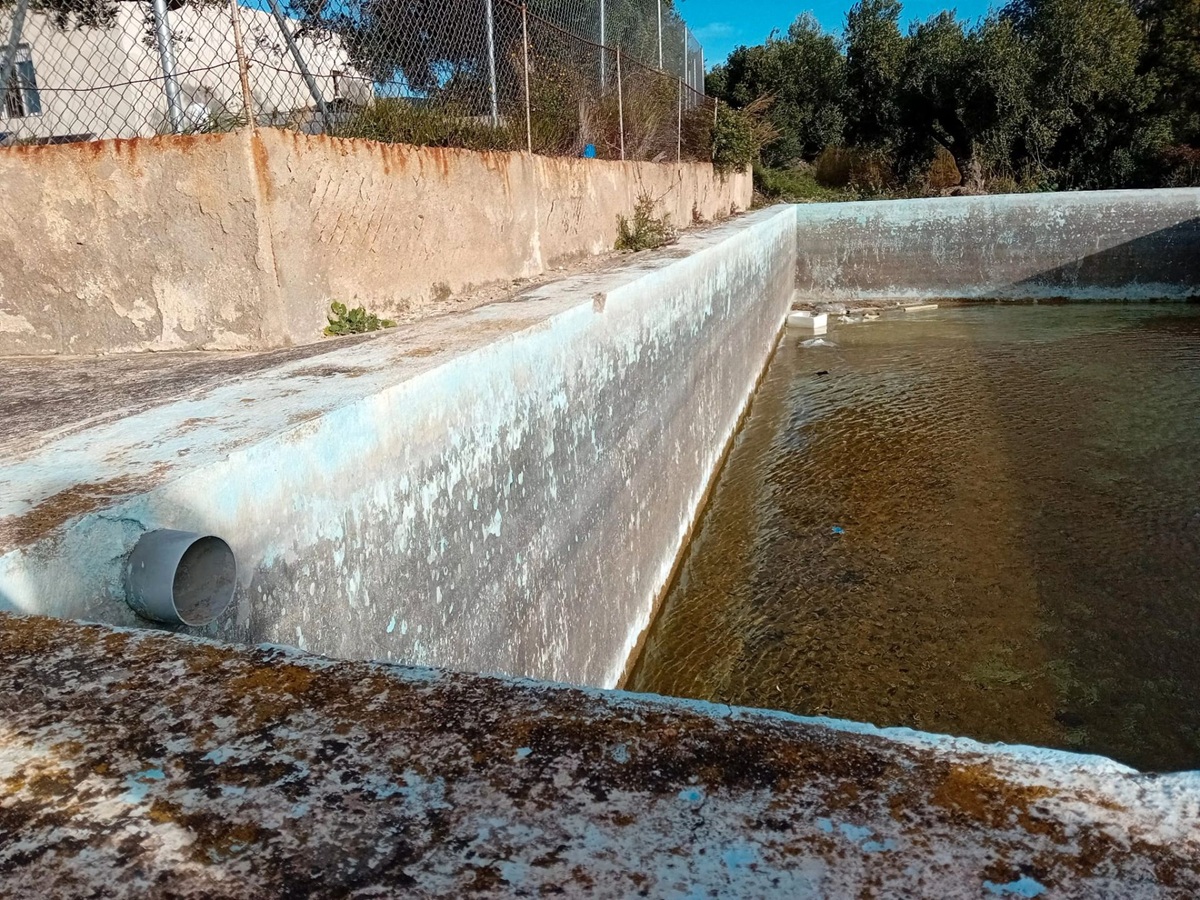 4d1dc990-f2e8-464d-8f73-10d6f5864bfd