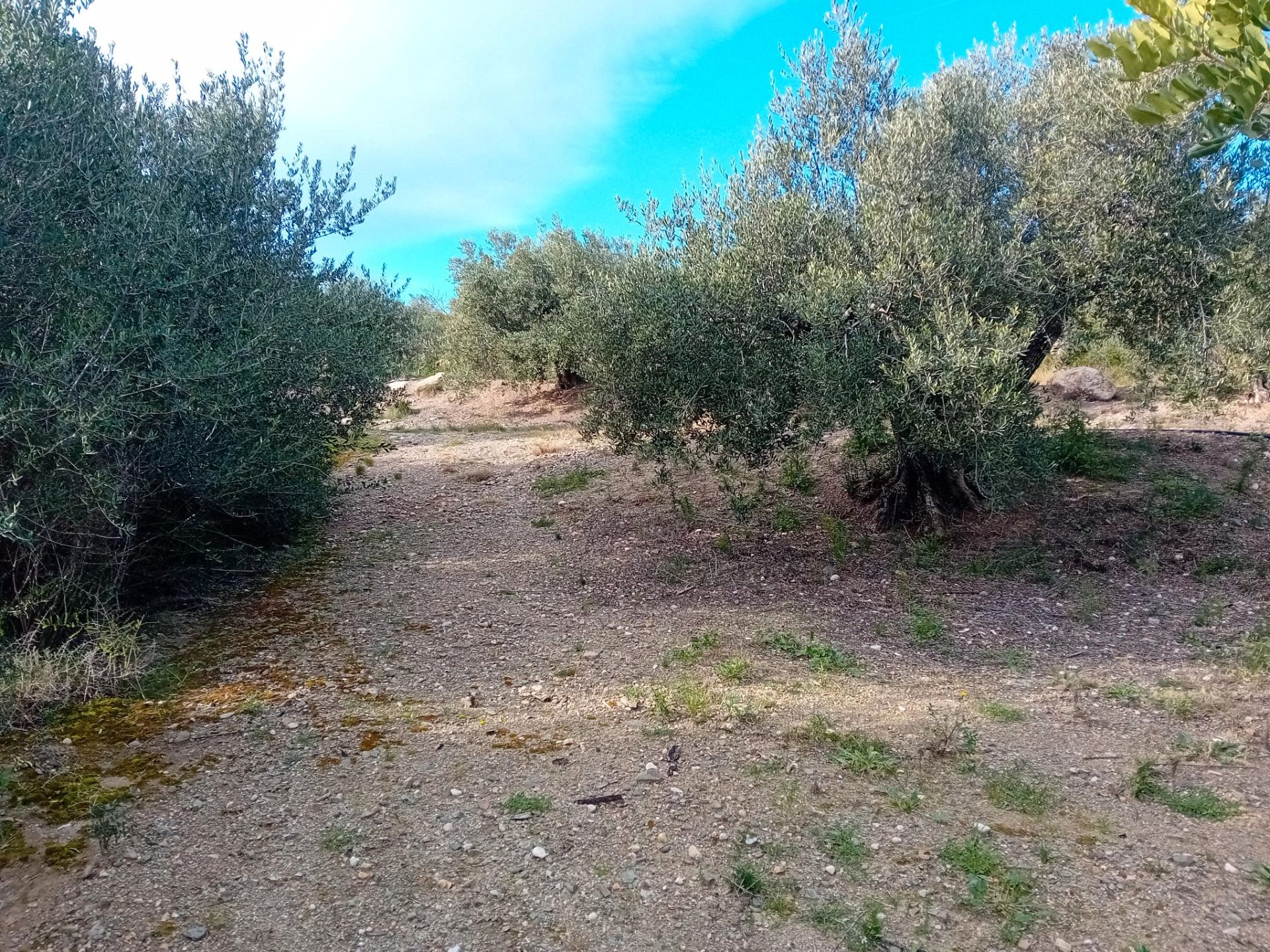 b0c993ae-ba72-4b76-b185-7476aaca98ea