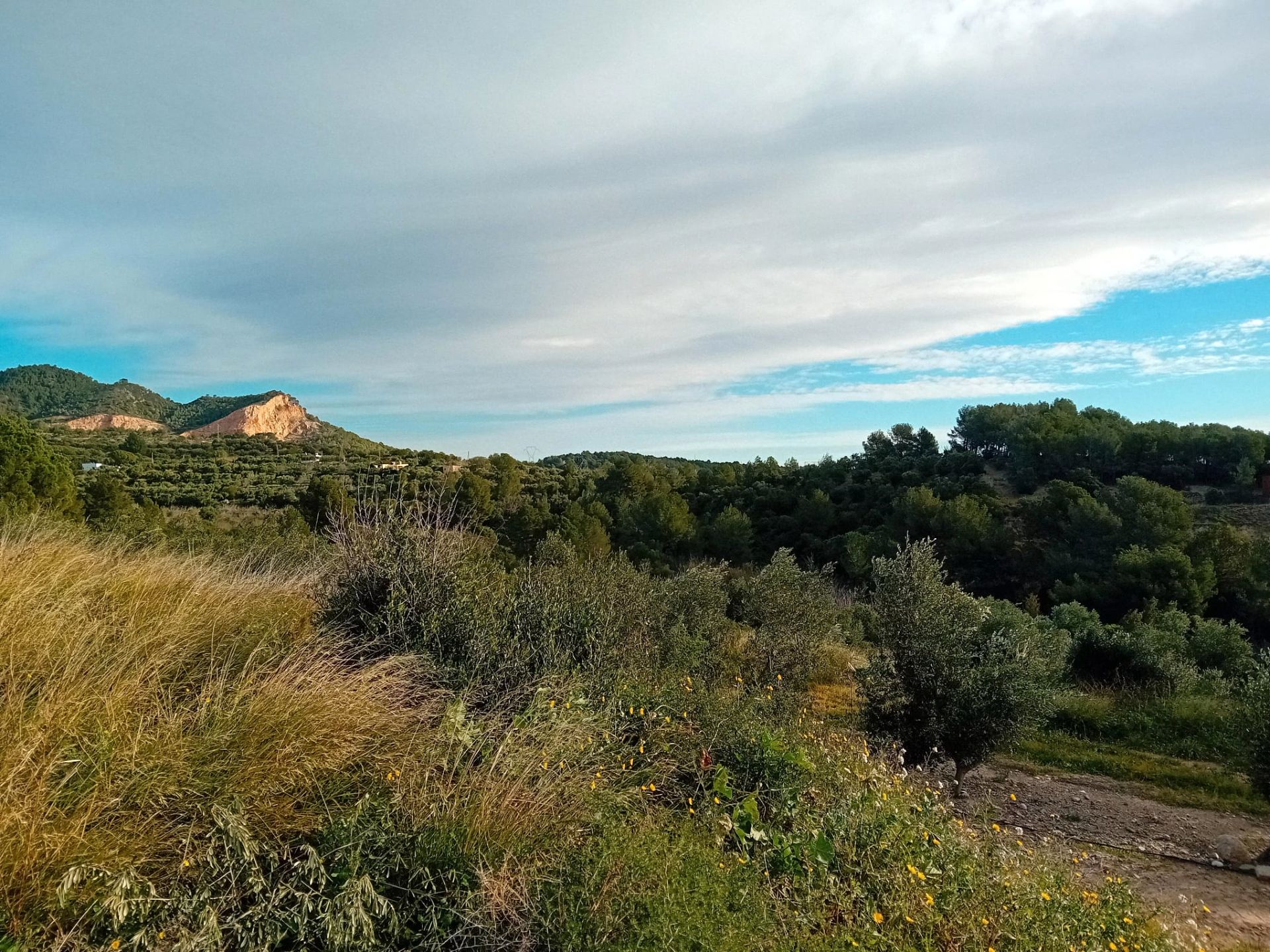 b7623f74-c730-4af8-bcb2-f6fd9877e420