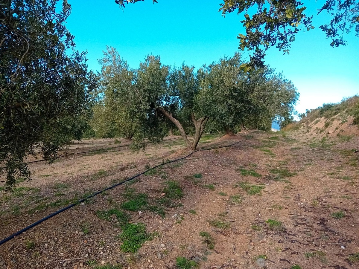 c9c97b6a-1856-49da-9511-04f3ec1b4dba