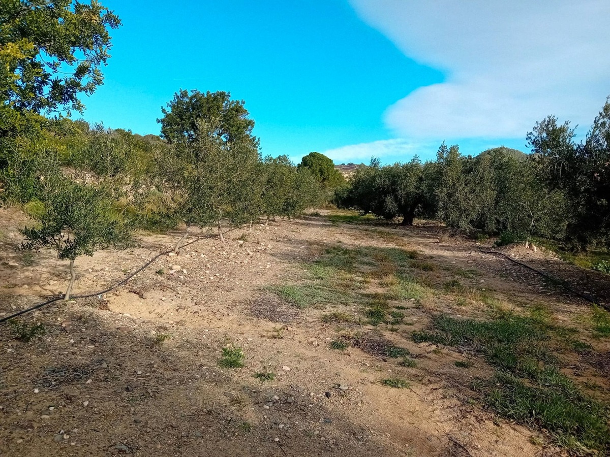 fac6e813-a197-4924-b843-ad84e782eda7