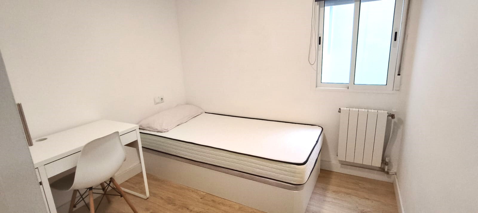 WhatsApp Image 2026-01-15 at 19.02.12