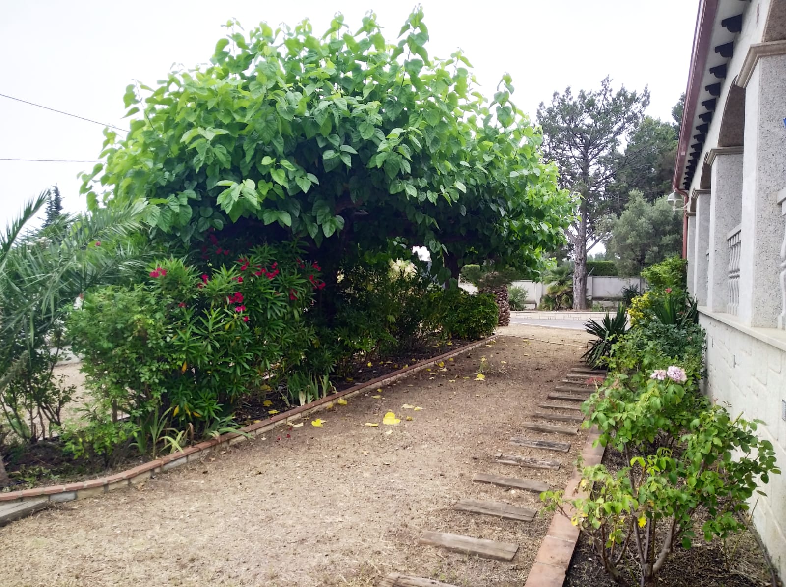 WhatsApp Image 2022-06-21 at 1.53.38 PM (1)