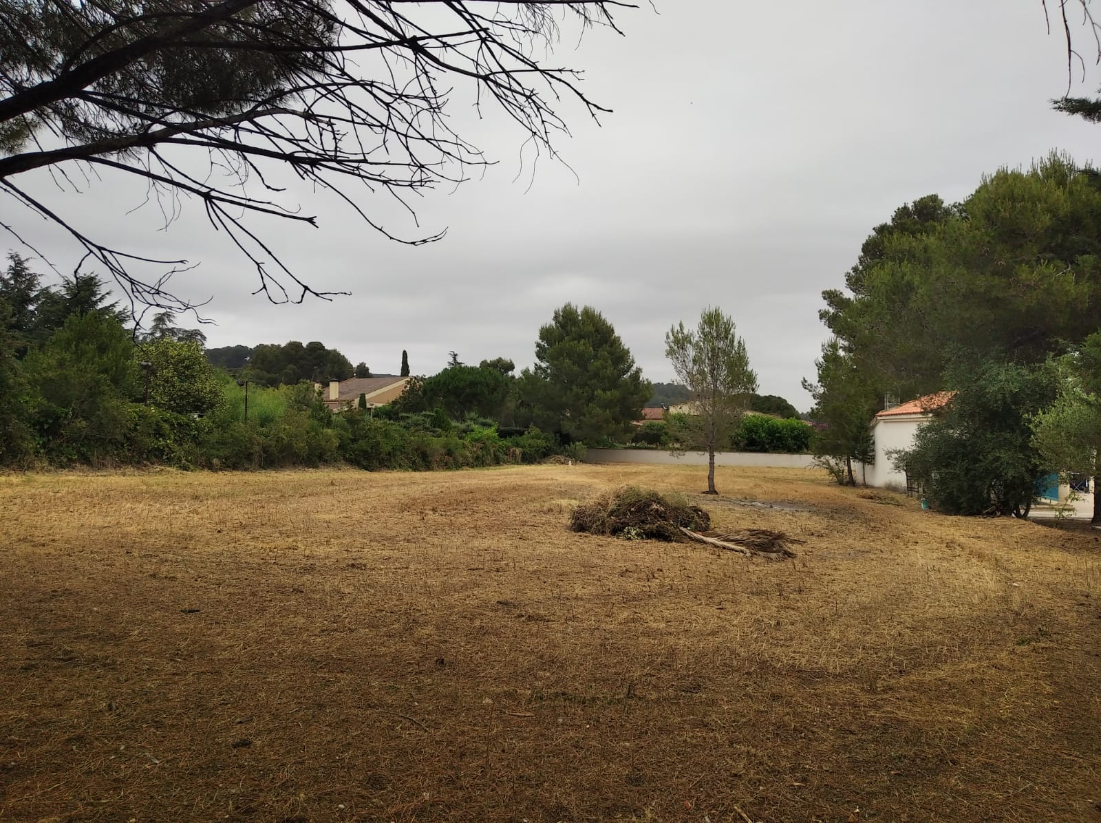 WhatsApp Image 2022-06-21 at 1.53.44 PM (1)