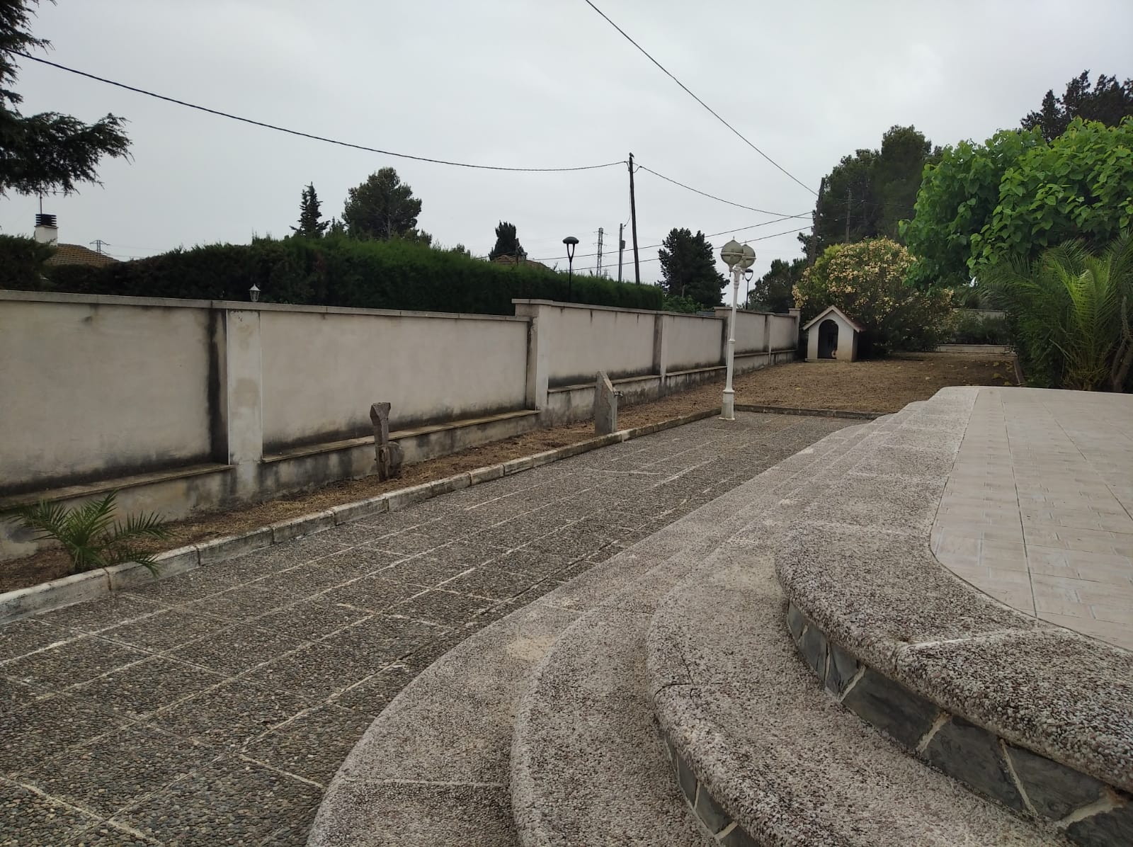 WhatsApp Image 2022-06-21 at 1.53.39 PM (1)