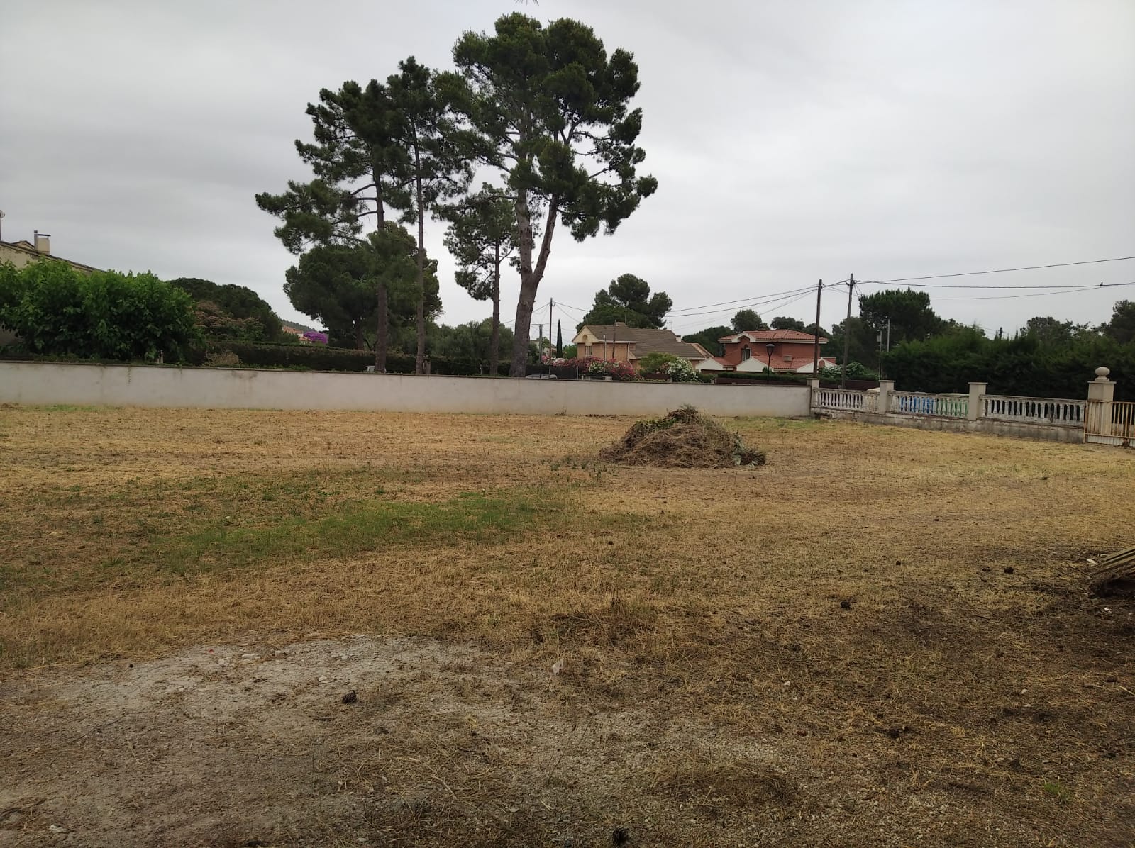 WhatsApp Image 2022-06-21 at 1.53.41 PM