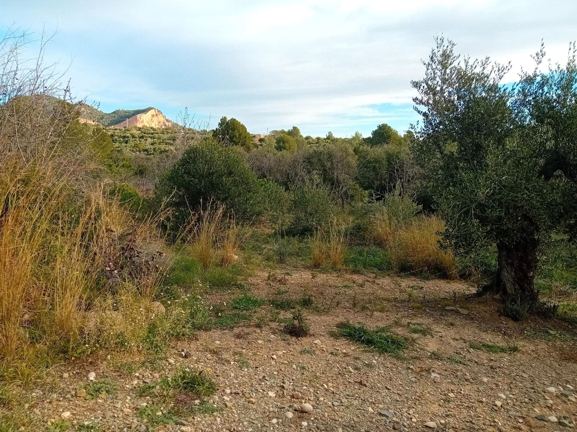 16769a4a-895a-4aef-88b3-af29404cbb0d