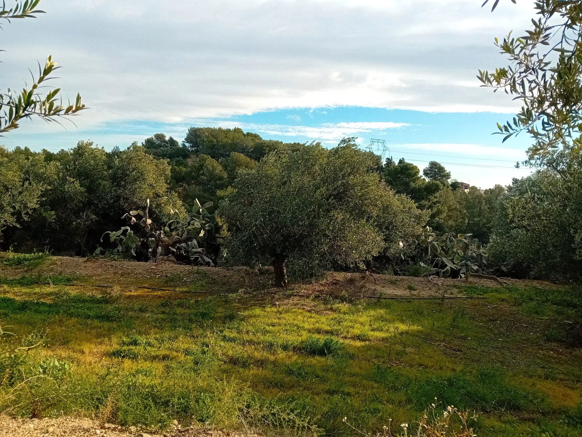 421ab958-3f29-41d1-b469-d83473f99ed7