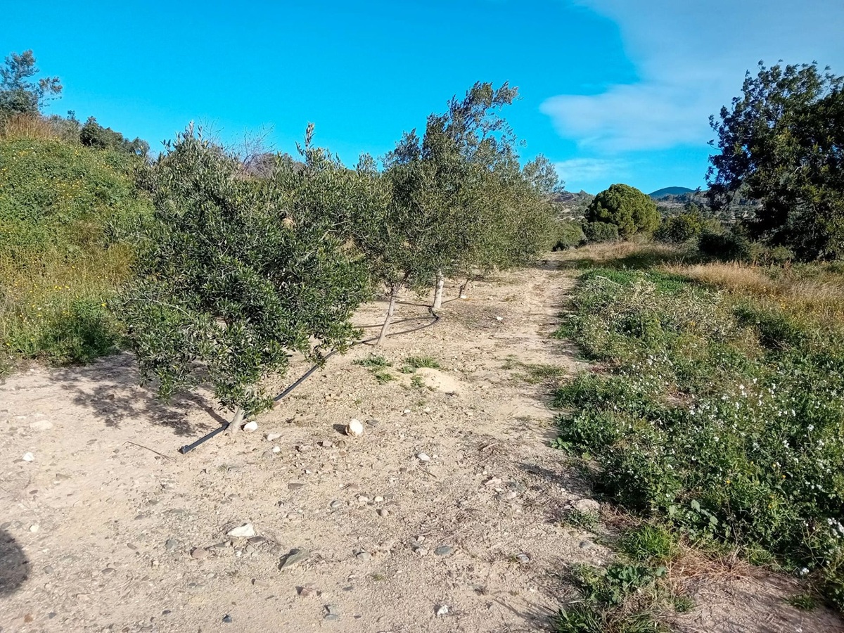 527a6618-cb3f-4c60-af97-d5d538c0550e