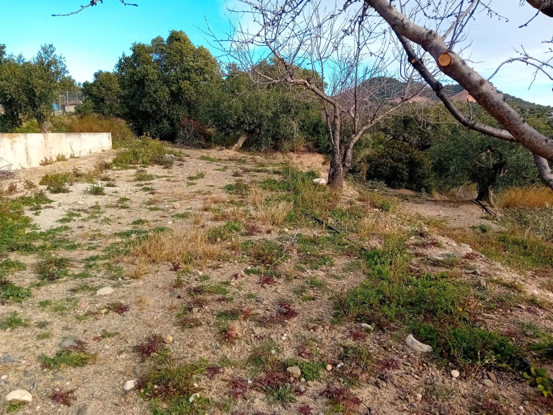 92191415-5fb2-4f97-80fa-80c10ab5cbbd