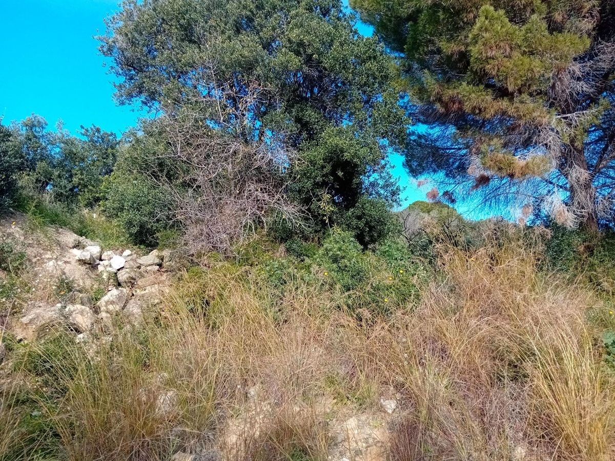 f261dea2-d32e-4486-9f38-694d5cb4e5fd