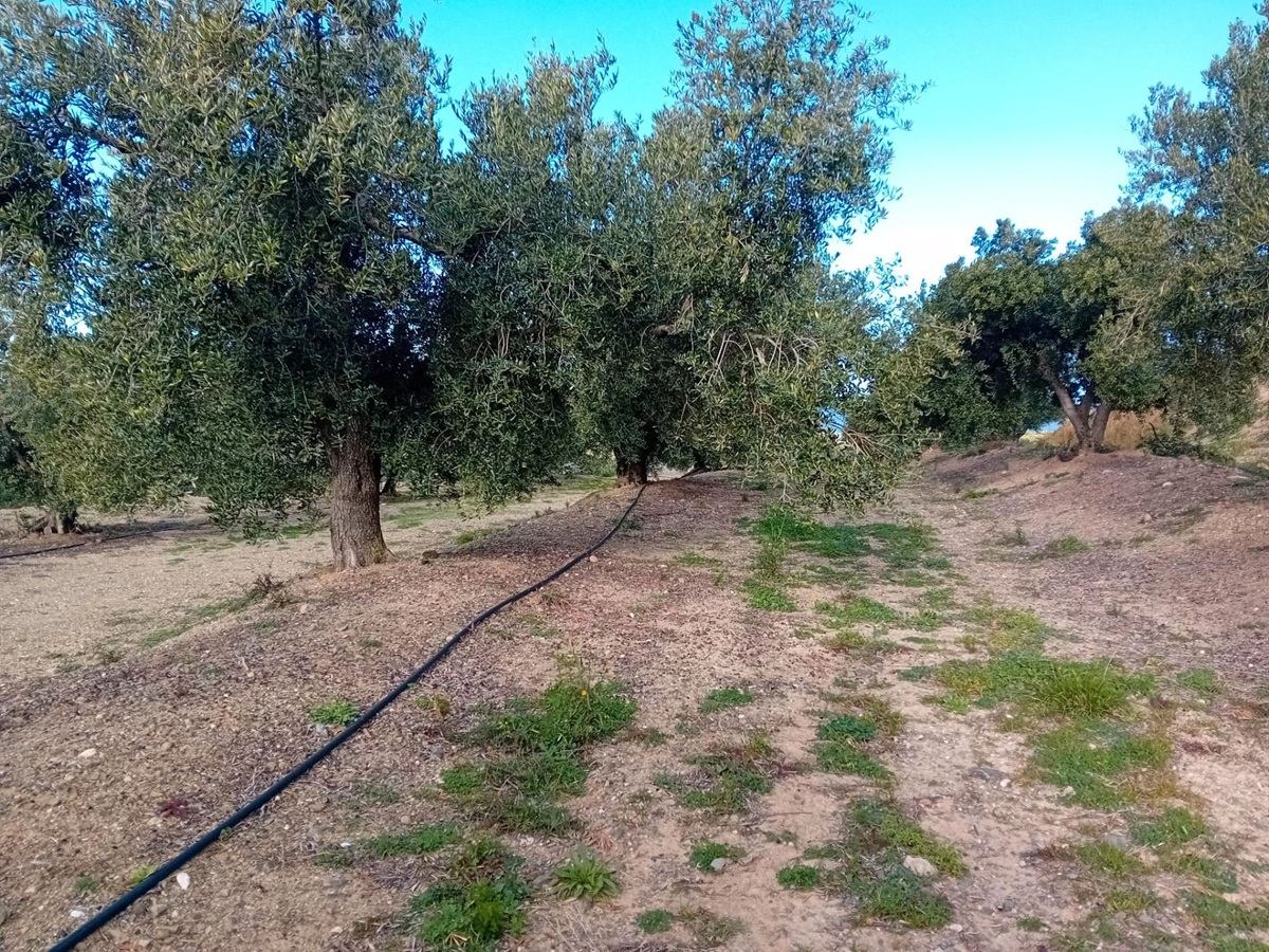 f792b82b-c9b5-450b-b67d-cb37e626f450