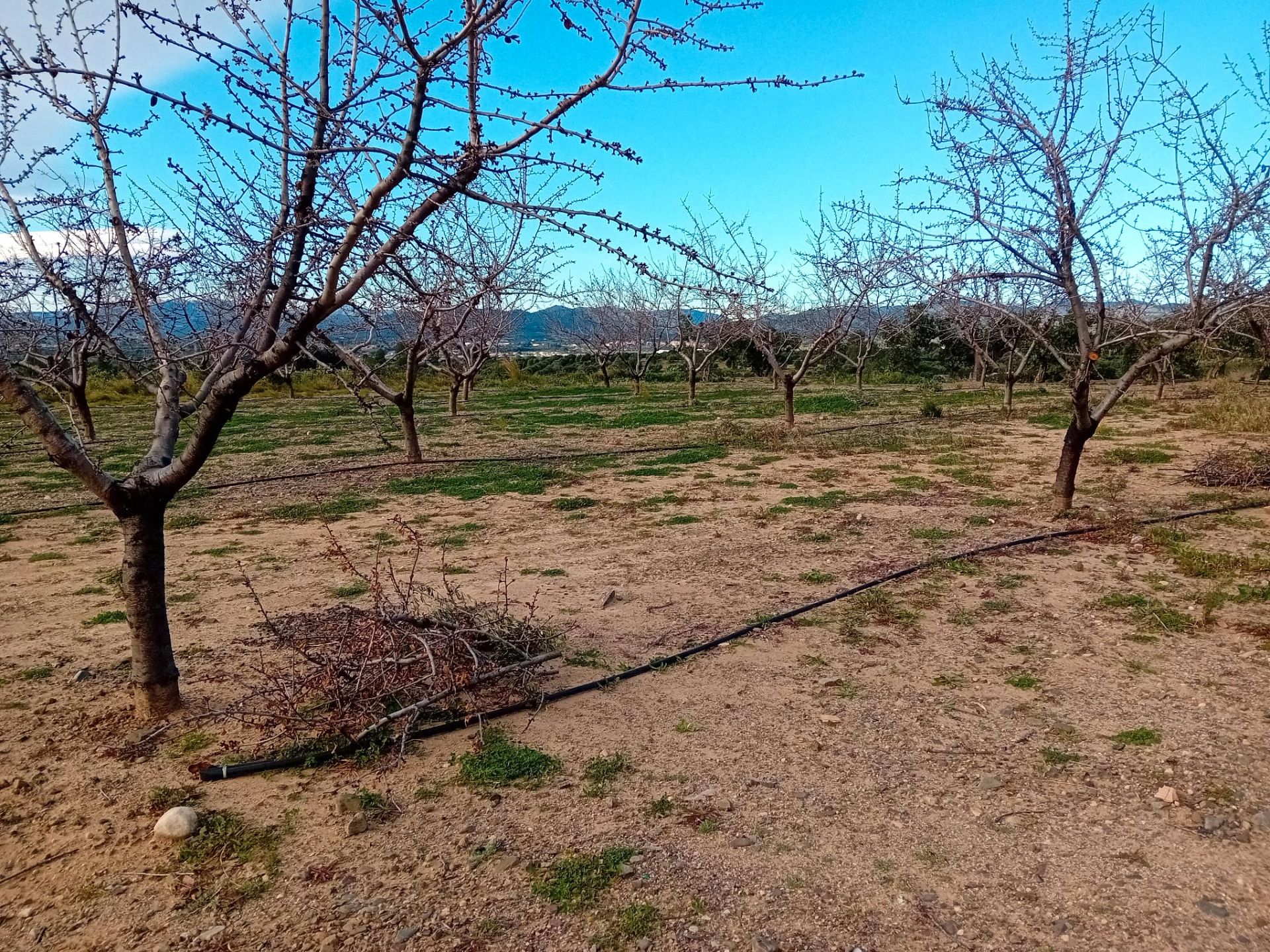 063b8b00-7d21-42fc-abaa-2a3460ef5f6f