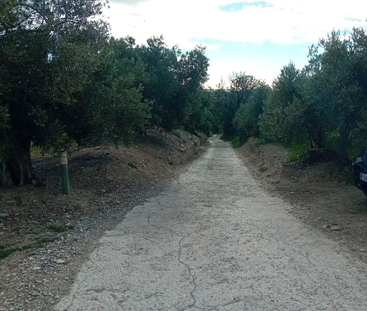 1ac52733-9bd1-4f9b-b22f-84479cc99702