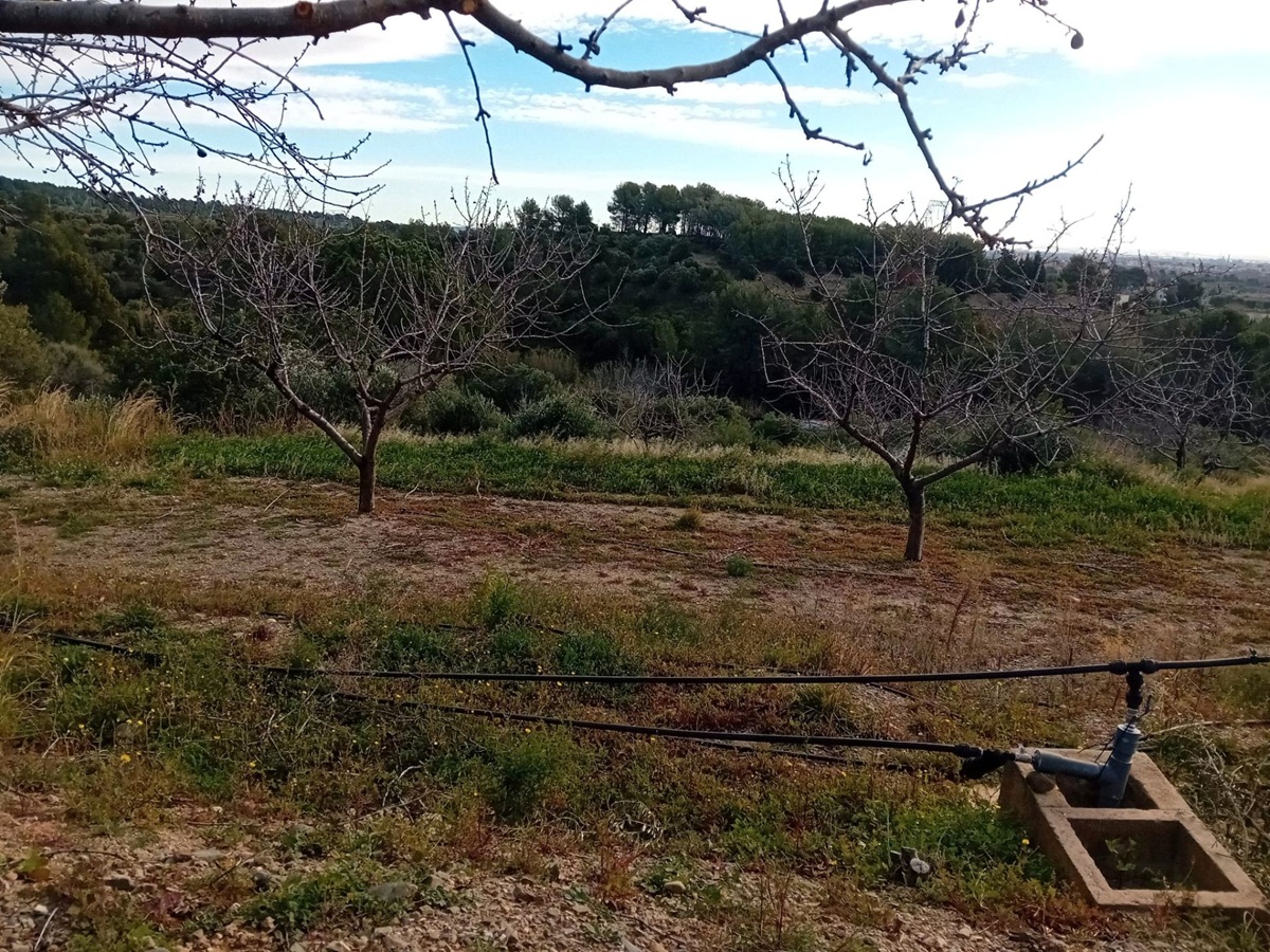 29e6662f-370f-43ce-9efe-a8006513625d