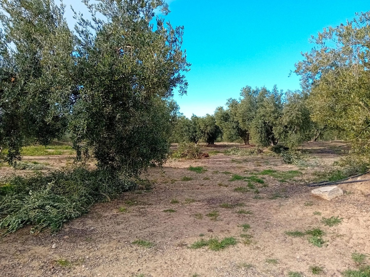 34fc54a8-e36d-4d76-a56d-9a2a94b4bb9e