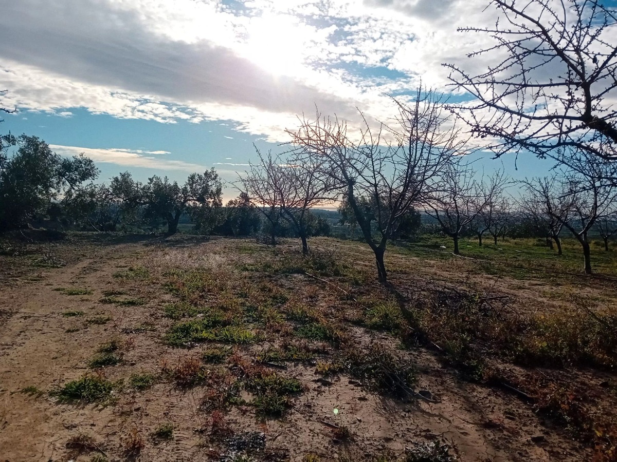 37f384c8-de07-4218-bf04-3572889f502a