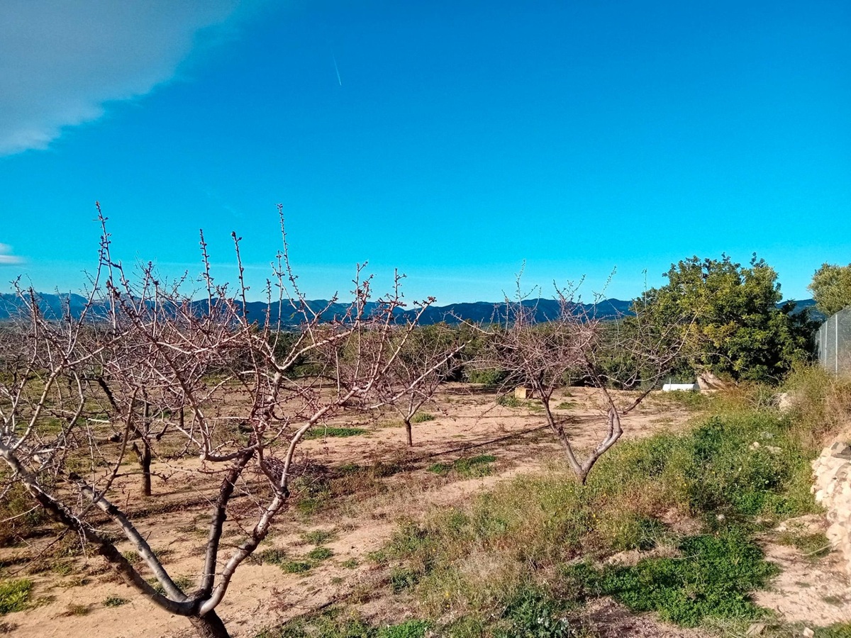 3dd5b5be-596c-4452-b61c-3edd7a233744