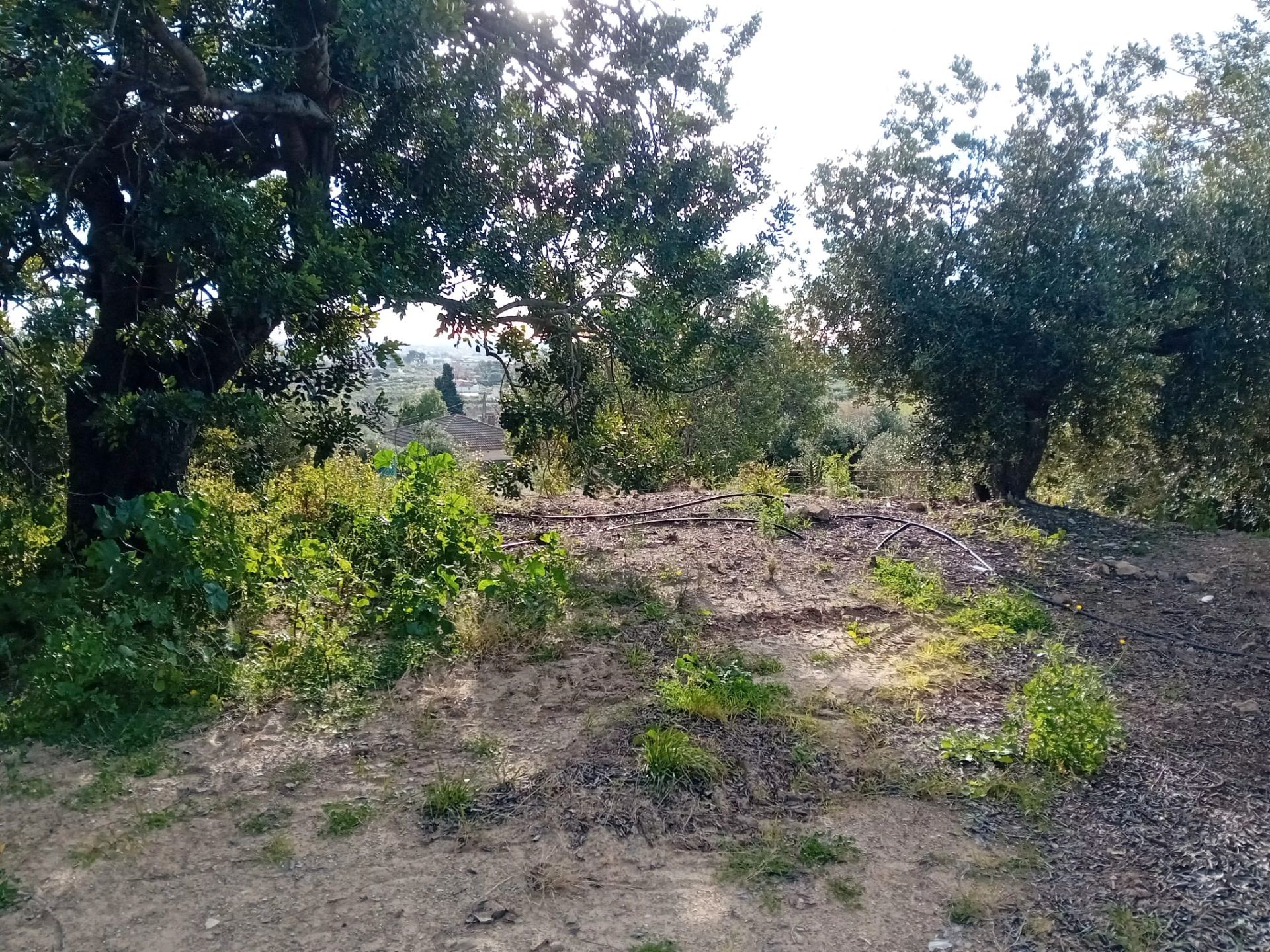 44fc4892-3ed3-432d-b927-958a5d8bce16