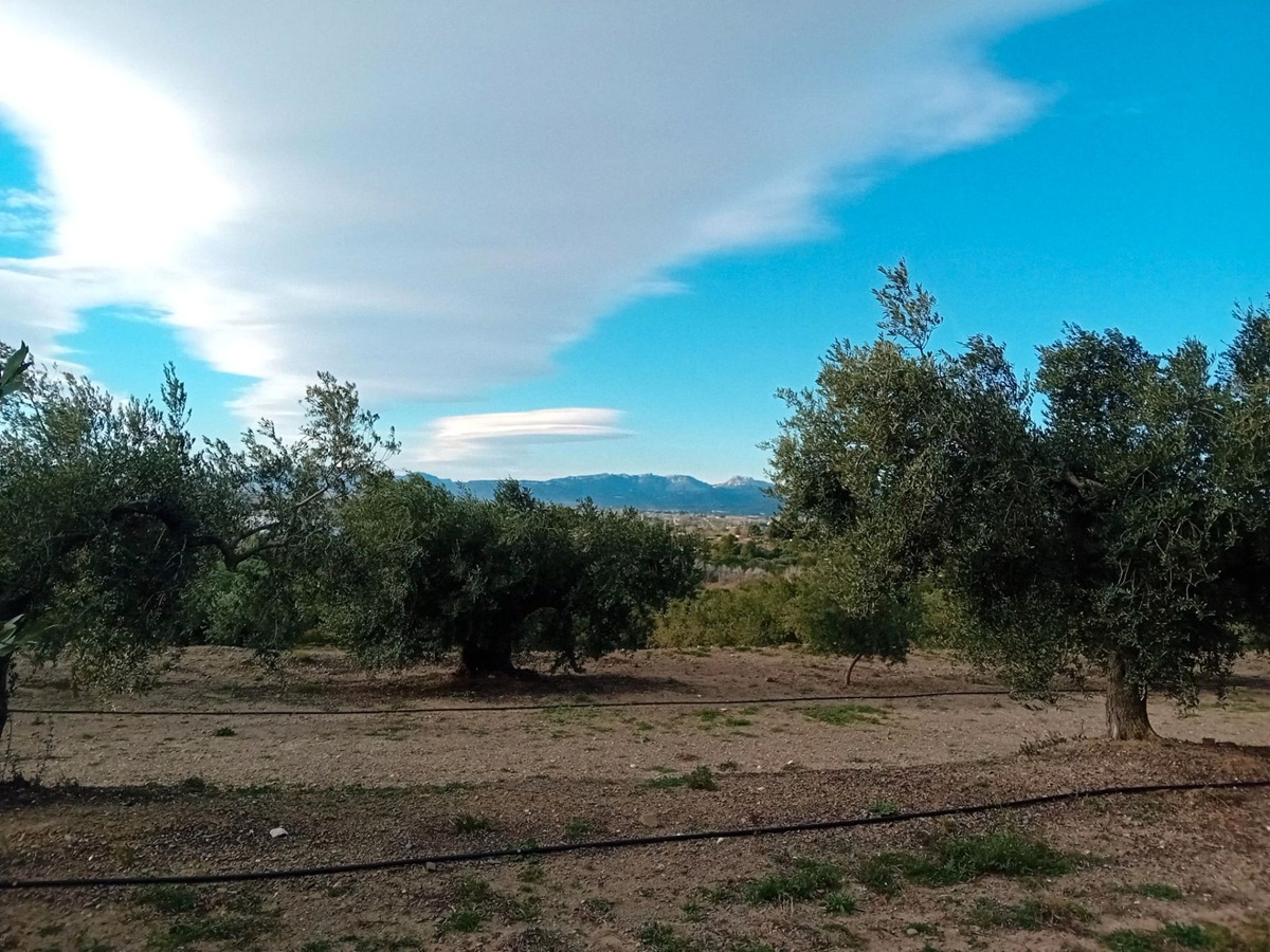 4e621bc0-524a-4465-b6a3-11422312d907