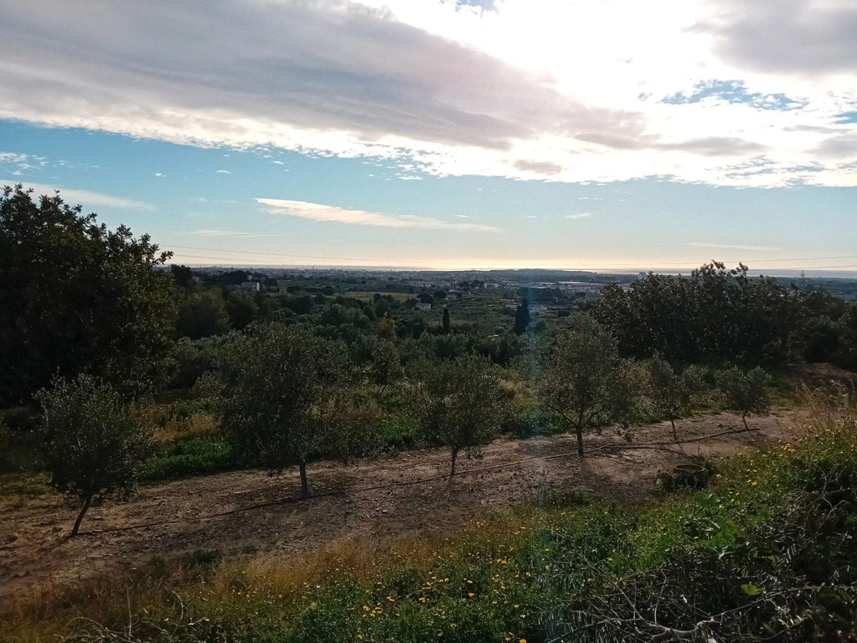 595bc9d0-fbe4-415f-a46f-011092384fb0