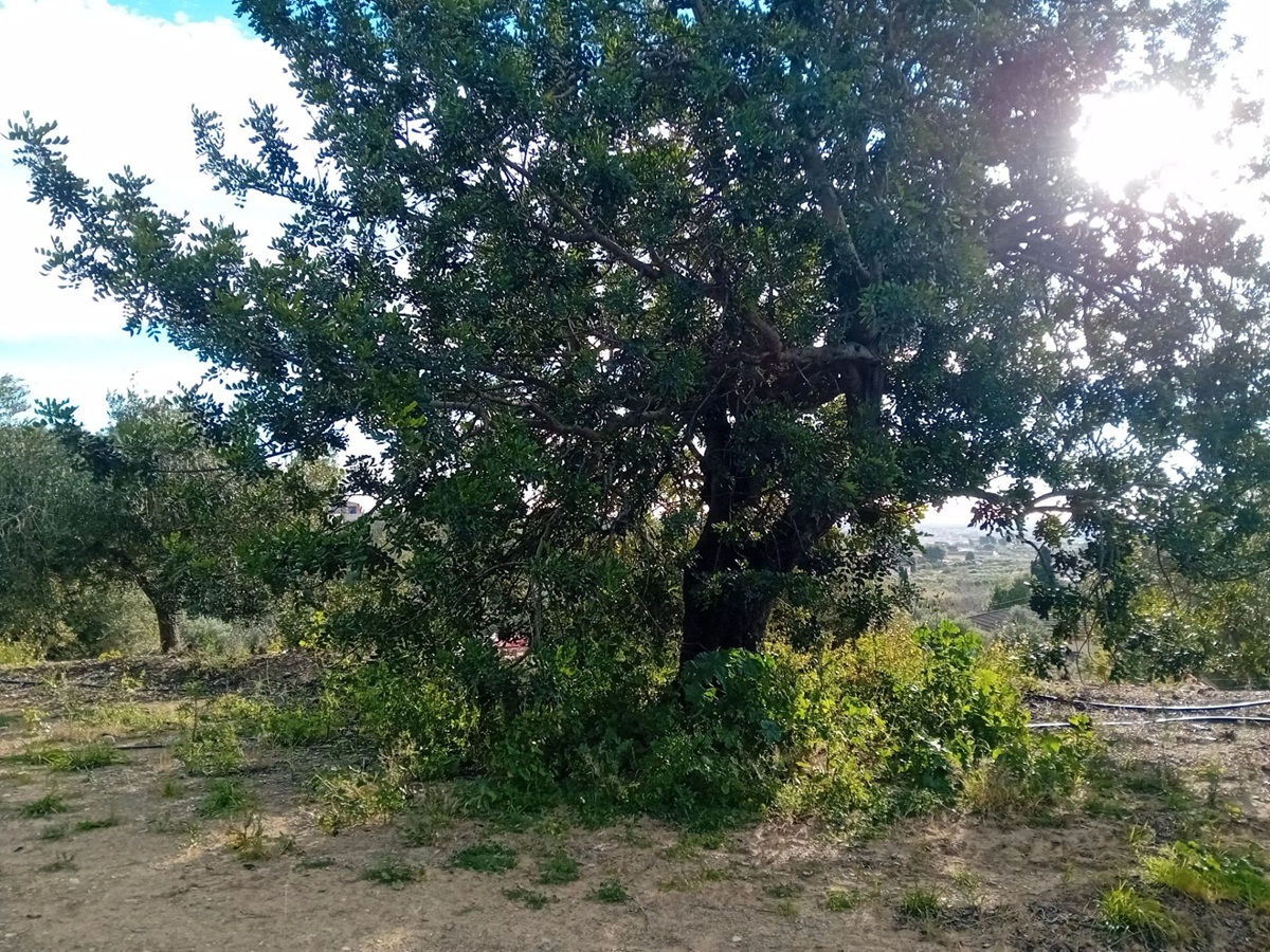 70986602-705c-4660-ba0b-3c4a7830efac