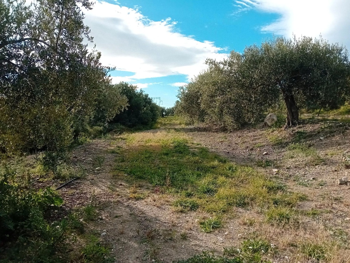 7bbedda9-1742-4d48-8e39-de91ab756850