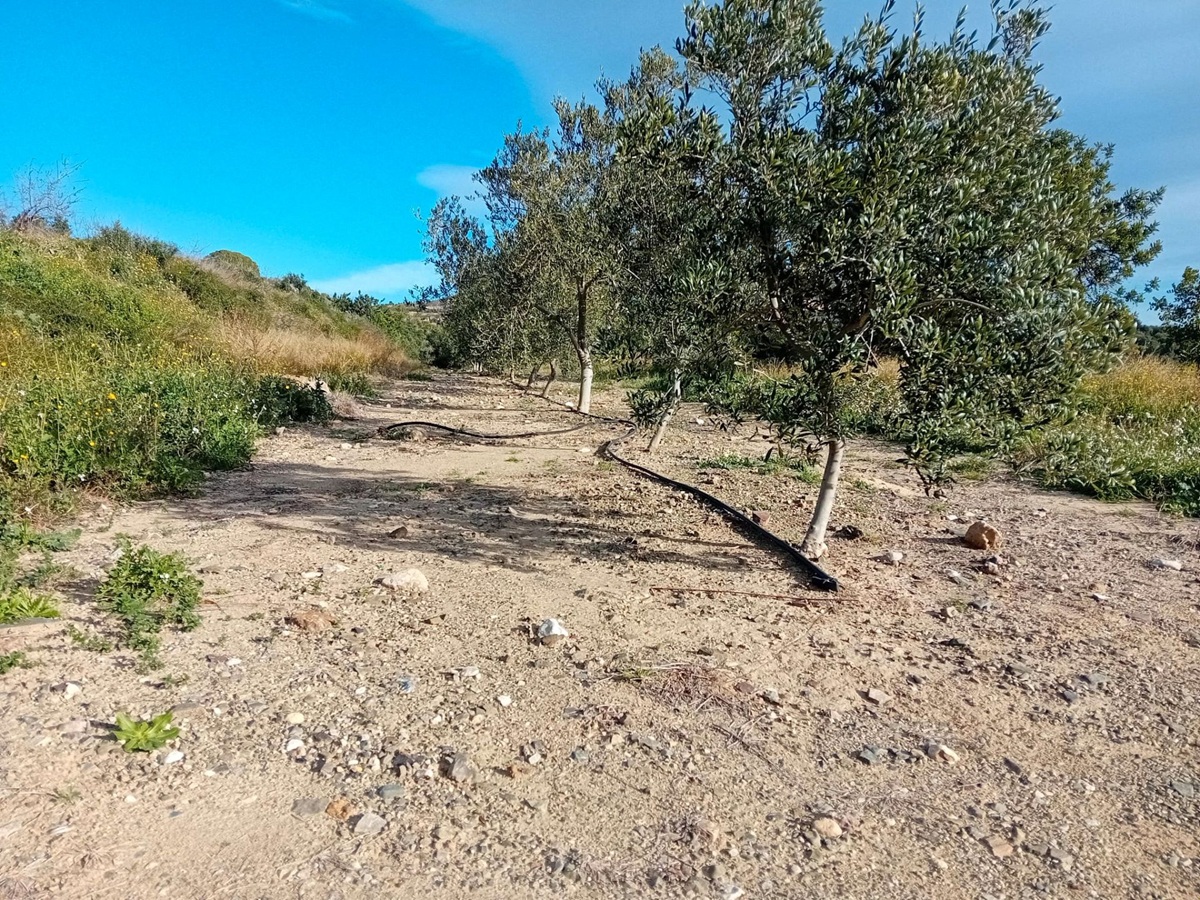 cc39682a-8a97-4287-a831-3280a0b8228b