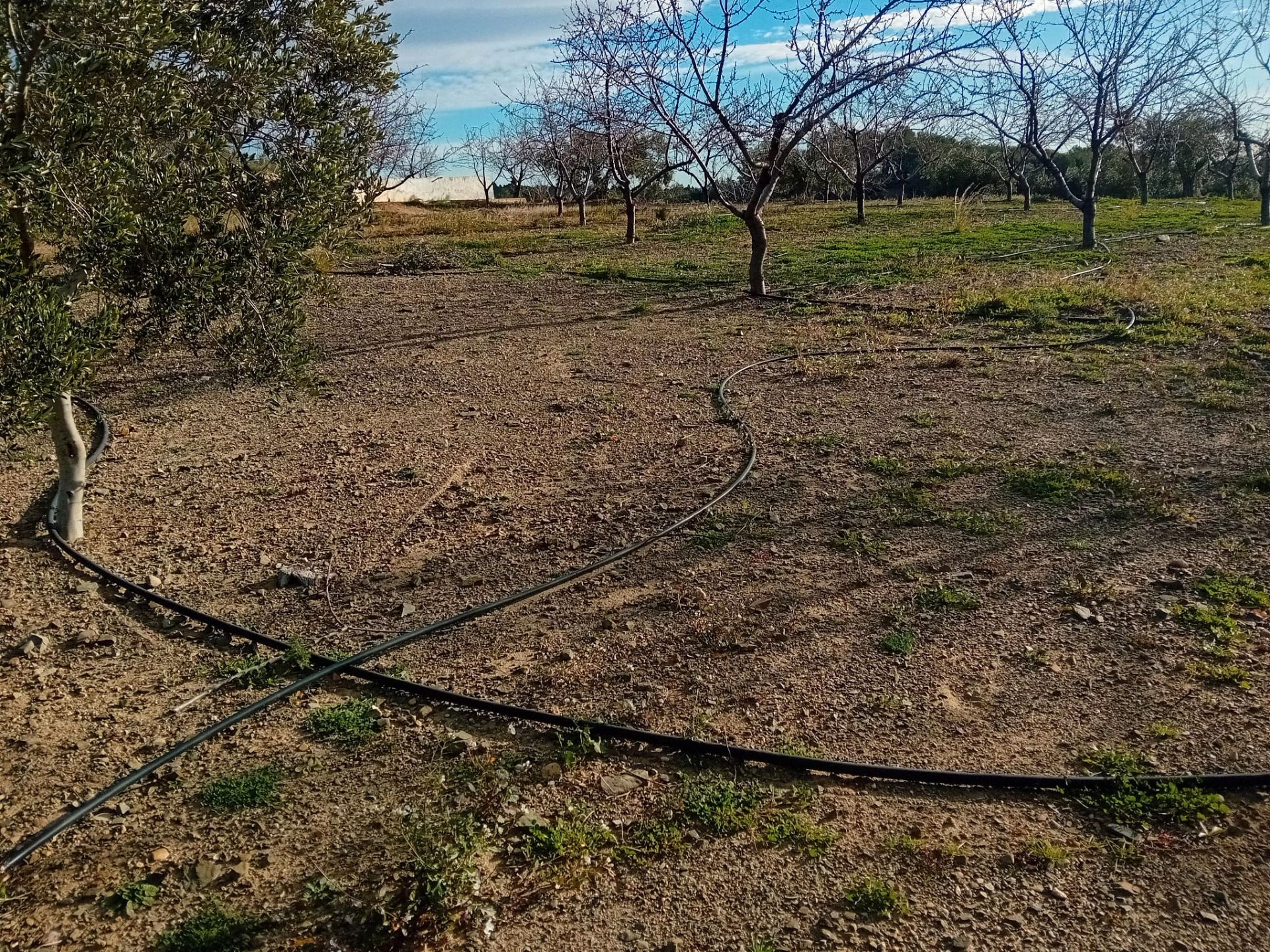 d486817b-4a2c-4d91-b32b-052de4ebef6d