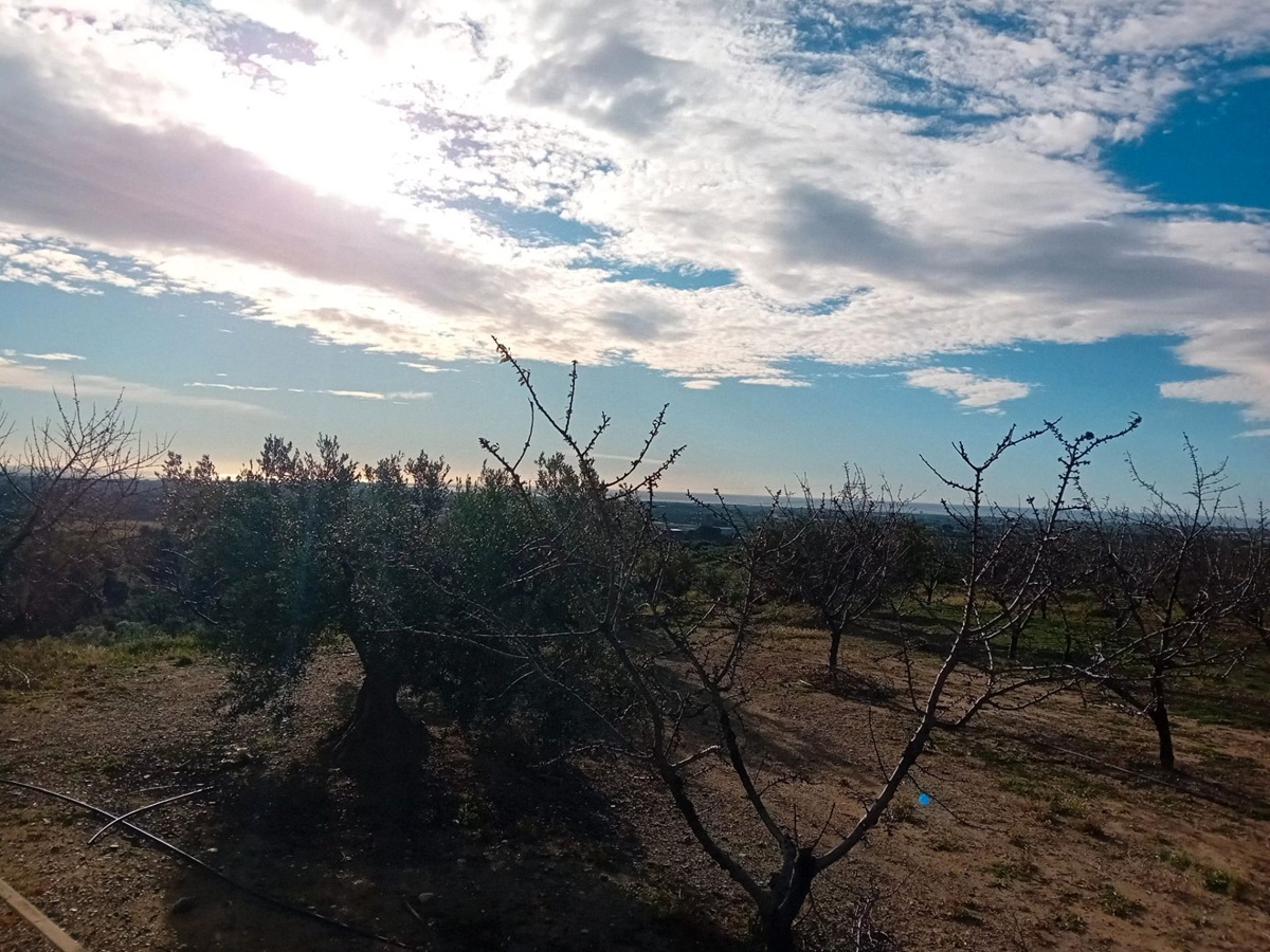 e1cb8871-4a26-4b02-b68b-c3fd5fc12f00