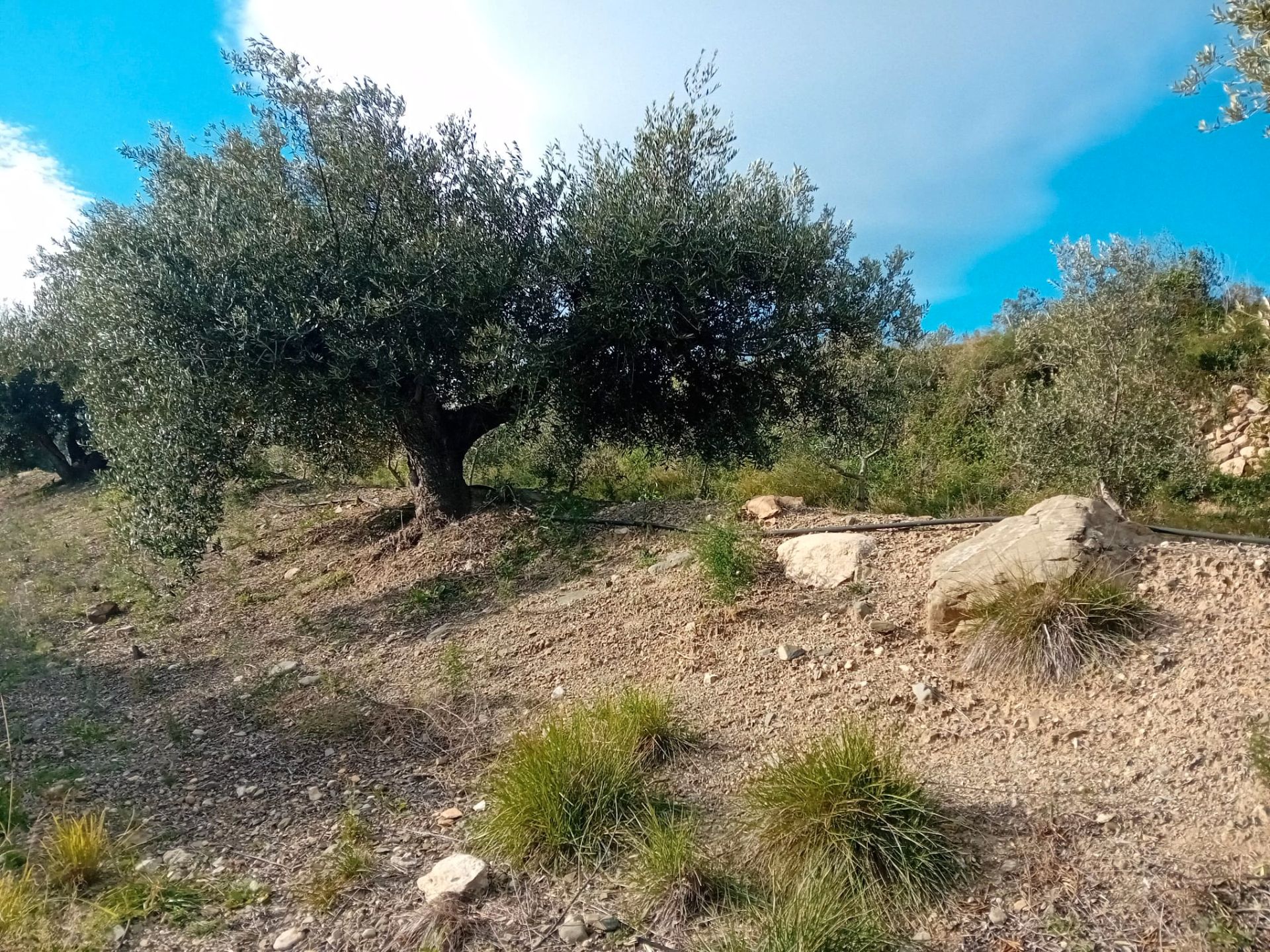 ed8bb727-3e46-4026-a79b-cb797cffef78