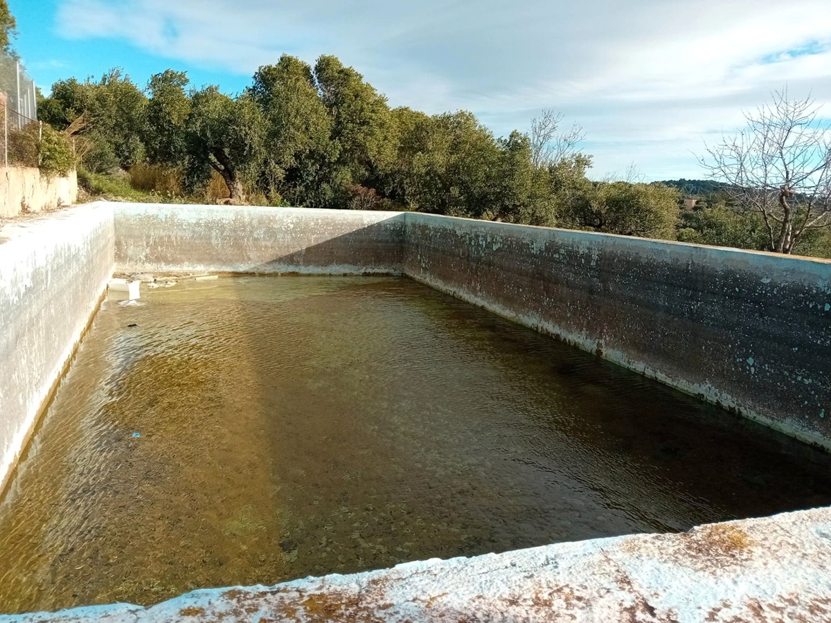 f3ce778b-ca5f-48d6-9844-edb3f779a8a9